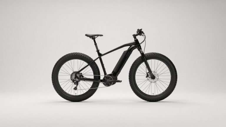 Qual é Melhor para Bicicleta Elétrica